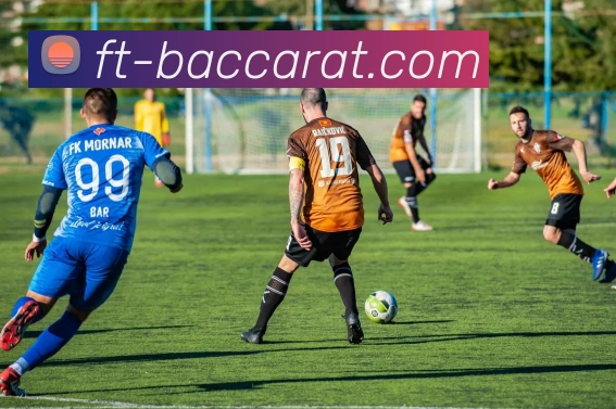 百家乐官网平台生态图